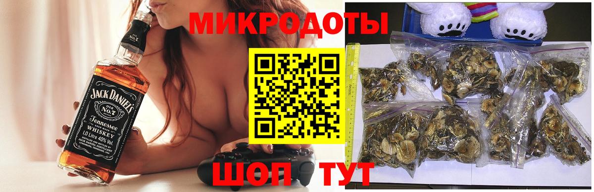 Галлюциногенные грибы Psilocybine cubensis  продажа наркотиков  Краснокаменск  Вход с VPN 